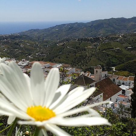 Casa Ana, Fantásticas vistas al pueblo, el mar y la montaña Frigiliana Exterior foto