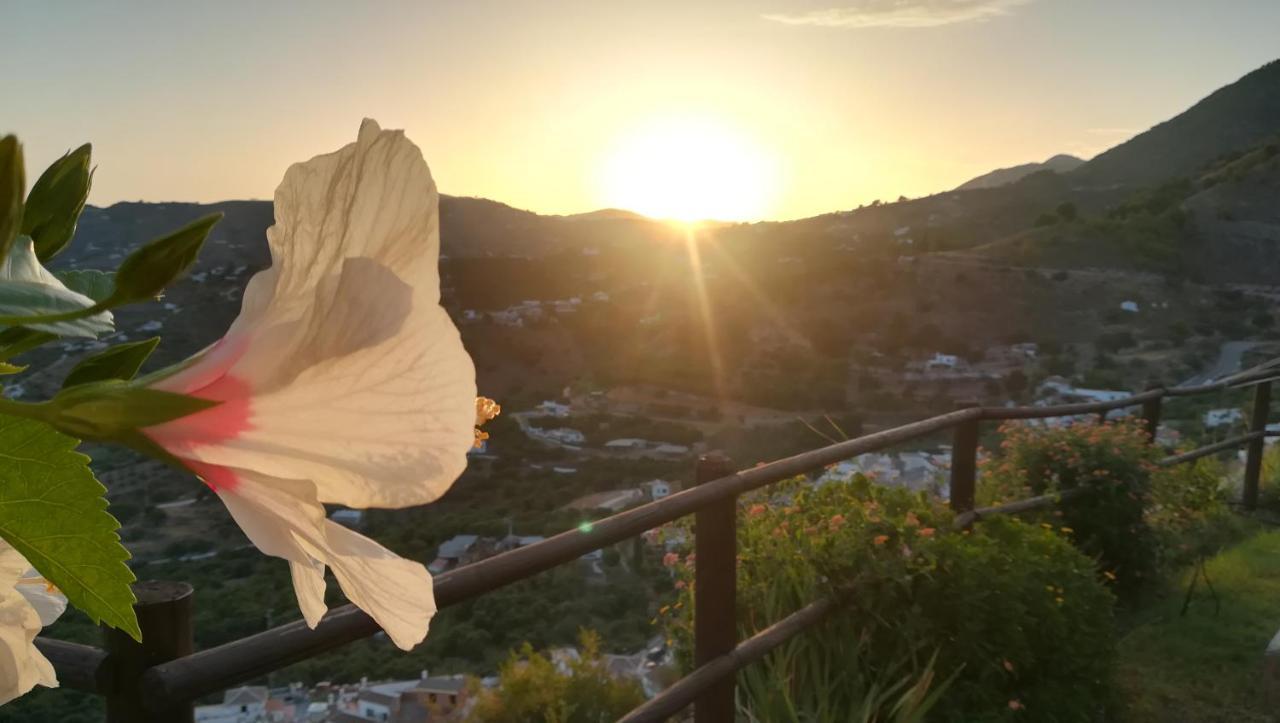 Casa Ana, Fantásticas vistas al pueblo, el mar y la montaña Frigiliana Exterior foto