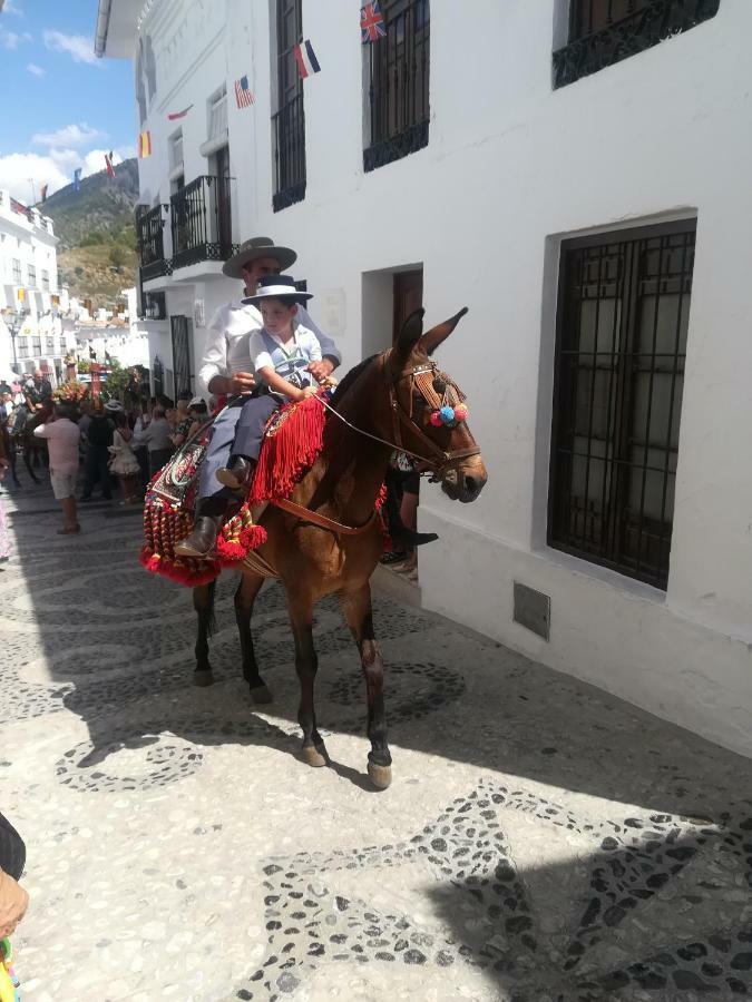 Casa Ana, Fantásticas vistas al pueblo, el mar y la montaña Frigiliana Exterior foto